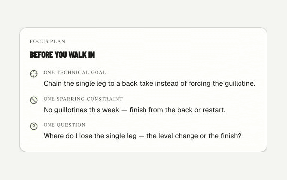 Daily focus plan with a technical goal and sparring constraint